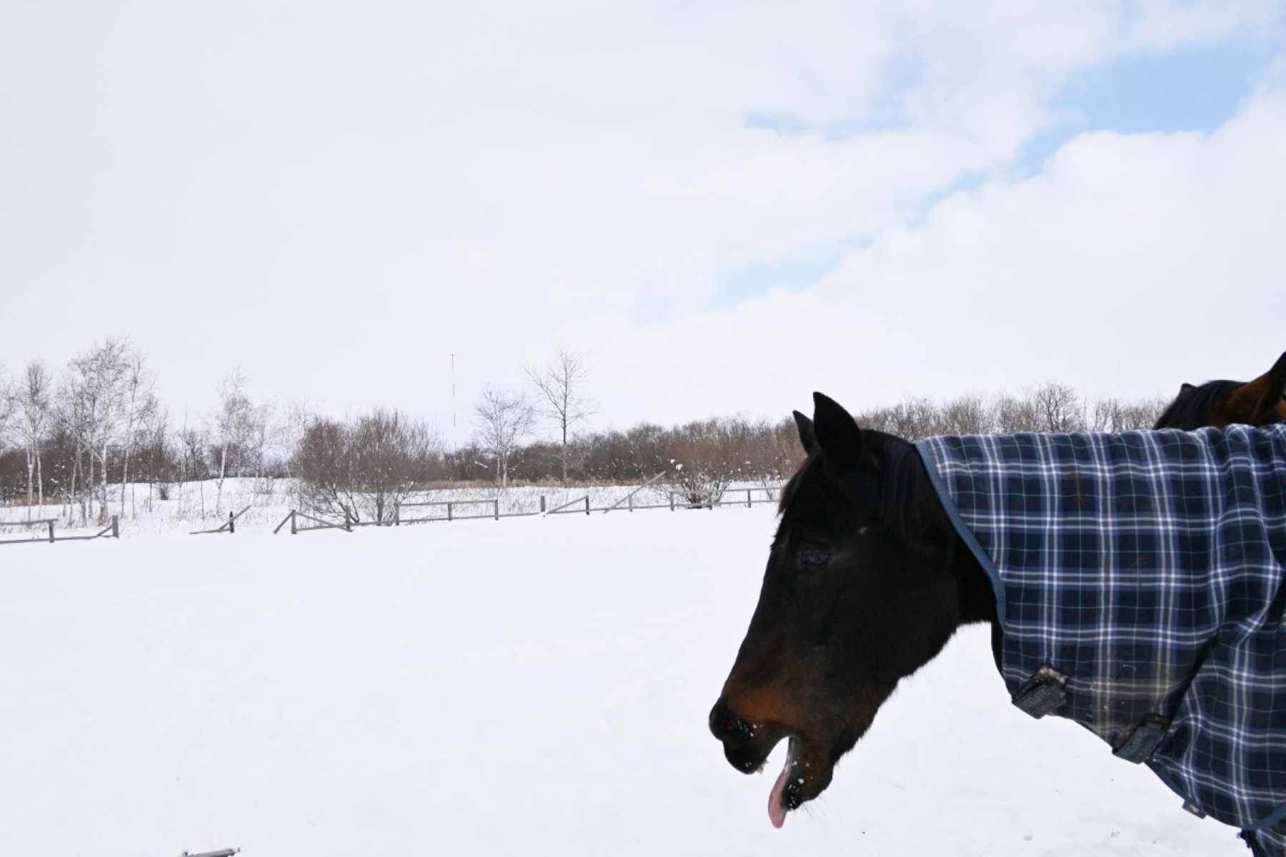 7e4d129093ae38ee1bd9bde7628cd14c-1771508182.png 7e4d129093ae38ee1bd9bde7628cd14c-1771508182.png